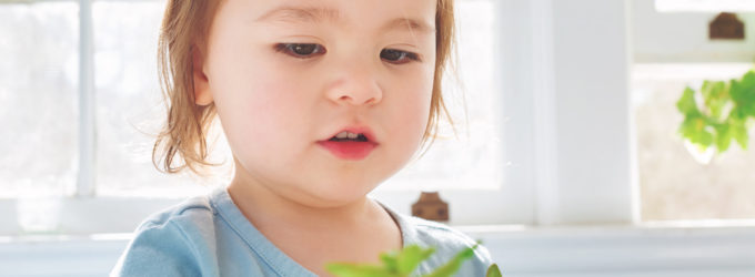 child with houseplants which improve indoor air quality