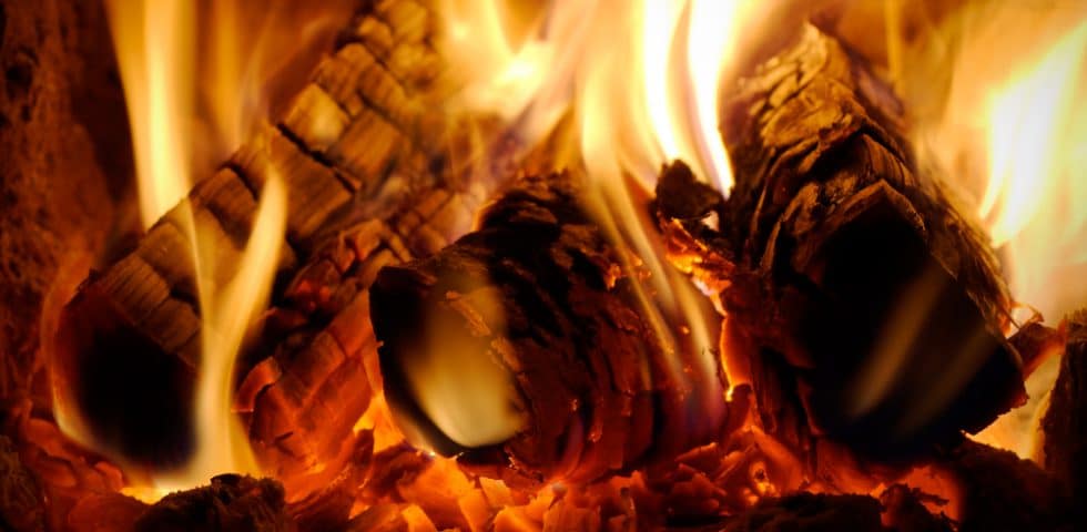 Best and Worst Wood to Burn in Alaska